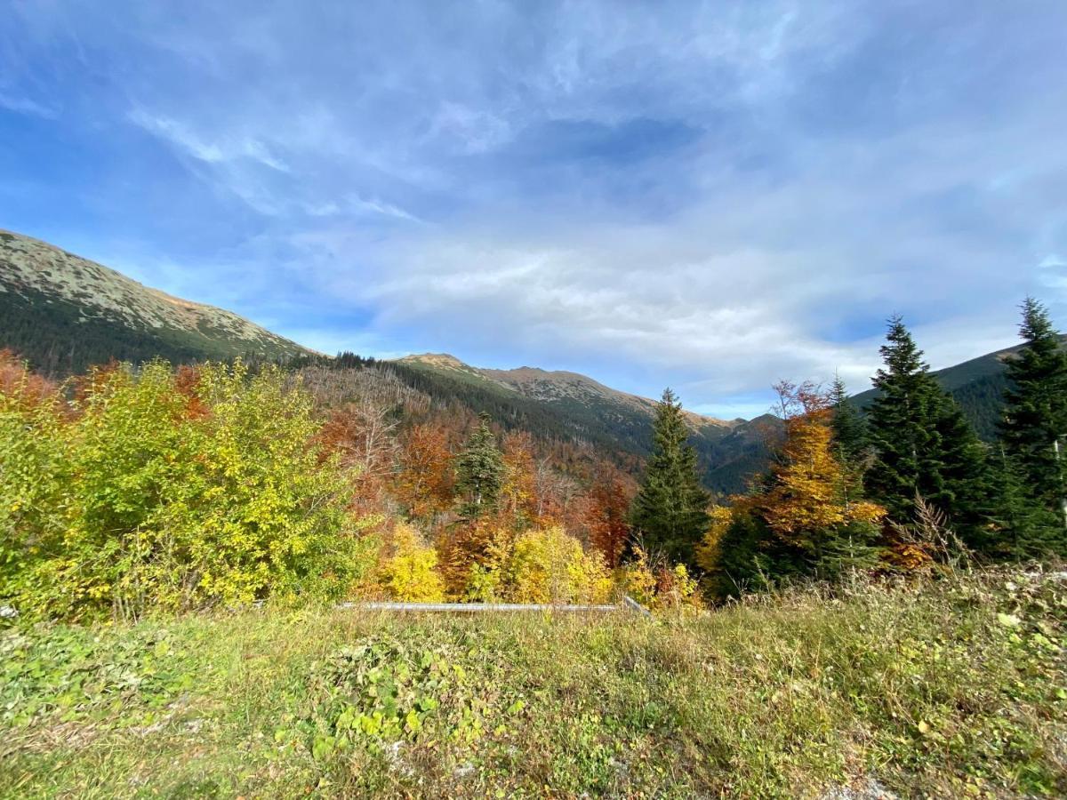 Apartment Rose Chopok 1100 M-On Hiking Trail-View-Hot Tub-Sauna-View Деменівська Долина Екстер'єр фото